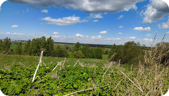 Сергей Сундеев