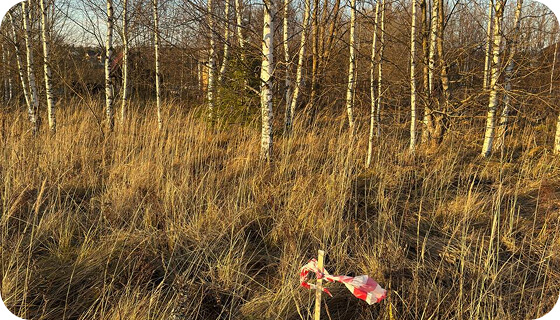 Андрей Бибик